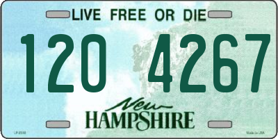 NH license plate 1204267