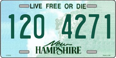 NH license plate 1204271