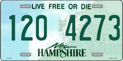 NH license plate 1204273