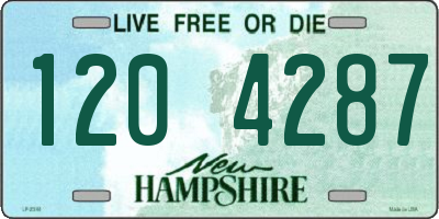 NH license plate 1204287