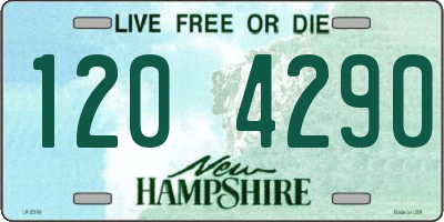 NH license plate 1204290