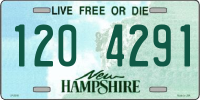 NH license plate 1204291