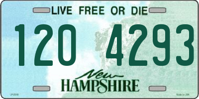 NH license plate 1204293
