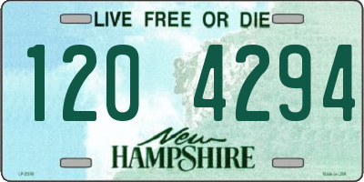 NH license plate 1204294