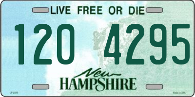 NH license plate 1204295