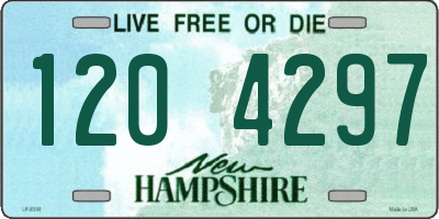 NH license plate 1204297