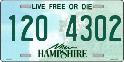 NH license plate 1204302
