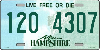 NH license plate 1204307