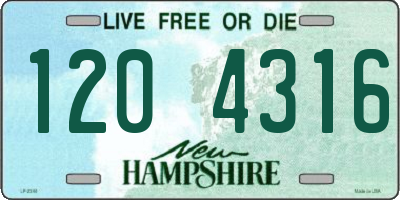 NH license plate 1204316