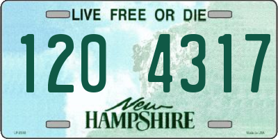 NH license plate 1204317