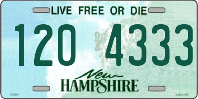 NH license plate 1204333
