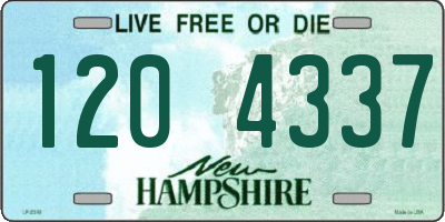 NH license plate 1204337