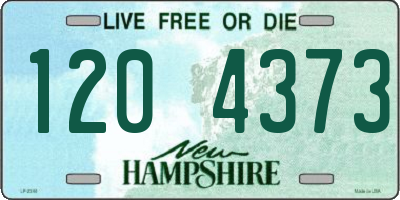NH license plate 1204373