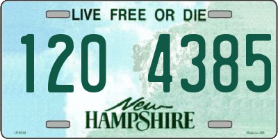 NH license plate 1204385