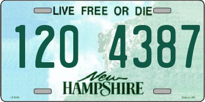 NH license plate 1204387