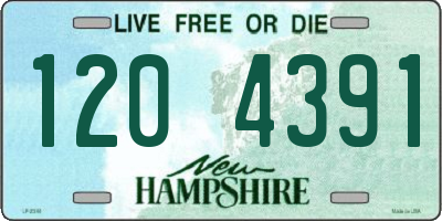 NH license plate 1204391