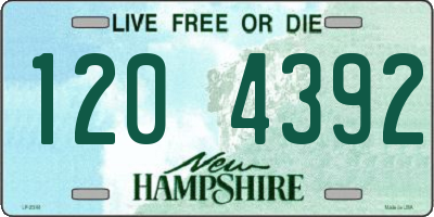 NH license plate 1204392