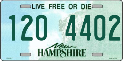 NH license plate 1204402