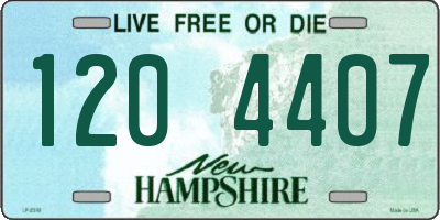 NH license plate 1204407