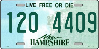 NH license plate 1204409