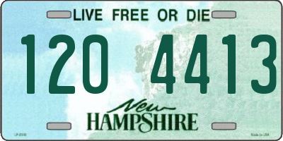 NH license plate 1204413