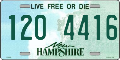 NH license plate 1204416