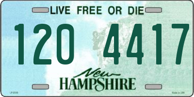 NH license plate 1204417