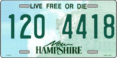 NH license plate 1204418