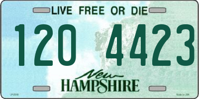 NH license plate 1204423