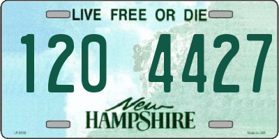NH license plate 1204427