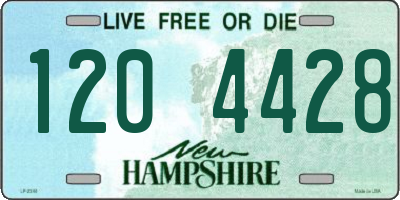 NH license plate 1204428