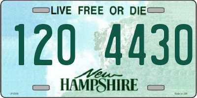 NH license plate 1204430