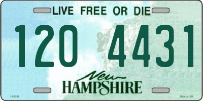 NH license plate 1204431