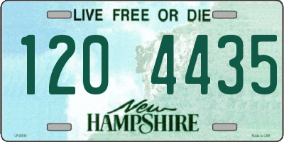 NH license plate 1204435