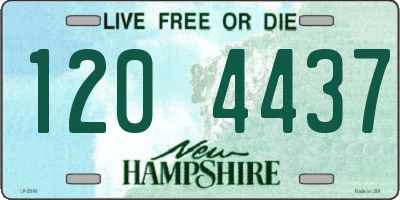 NH license plate 1204437