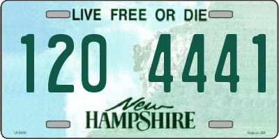 NH license plate 1204441