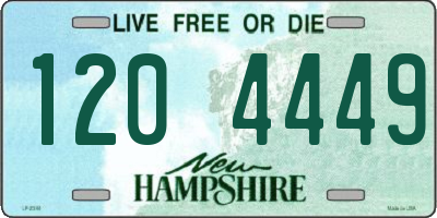 NH license plate 1204449