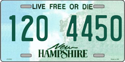 NH license plate 1204450