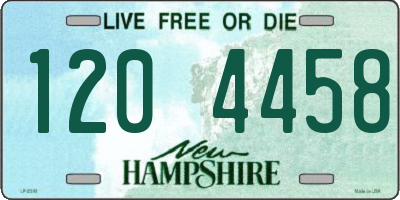 NH license plate 1204458