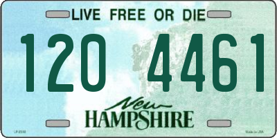 NH license plate 1204461