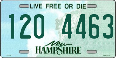 NH license plate 1204463