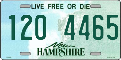 NH license plate 1204465
