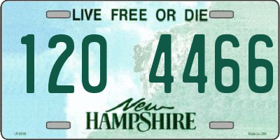 NH license plate 1204466
