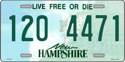NH license plate 1204471