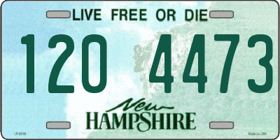 NH license plate 1204473