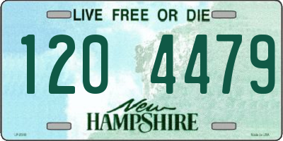 NH license plate 1204479