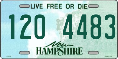 NH license plate 1204483