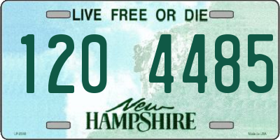 NH license plate 1204485