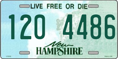 NH license plate 1204486