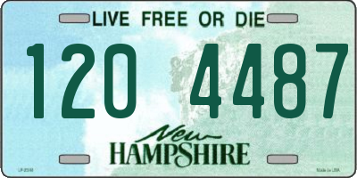 NH license plate 1204487